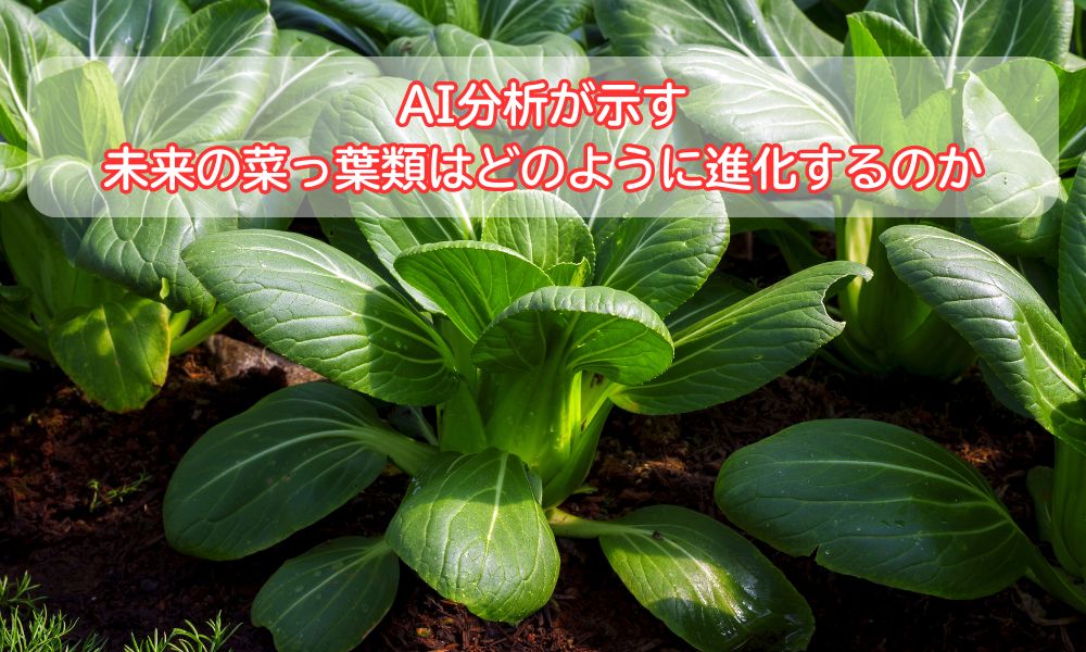 菜っ葉の日