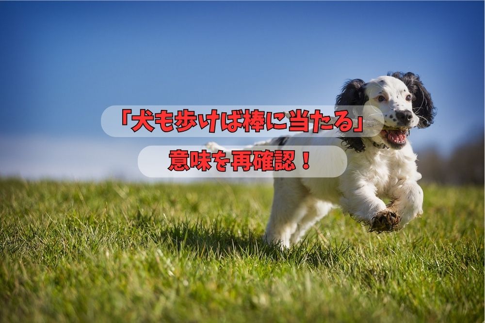 犬も歩けば棒に当たる、アイキャッチ