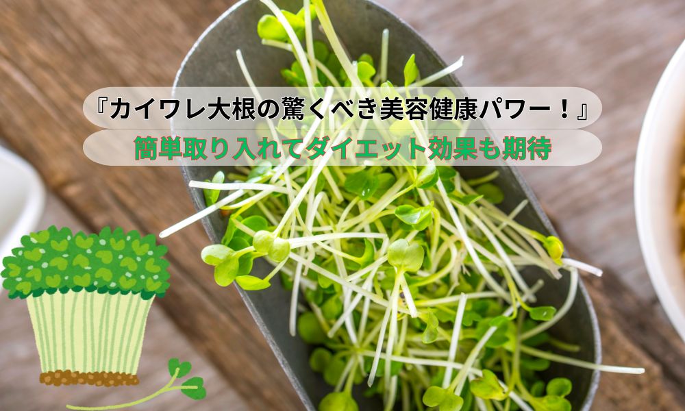 カイワレ大根
