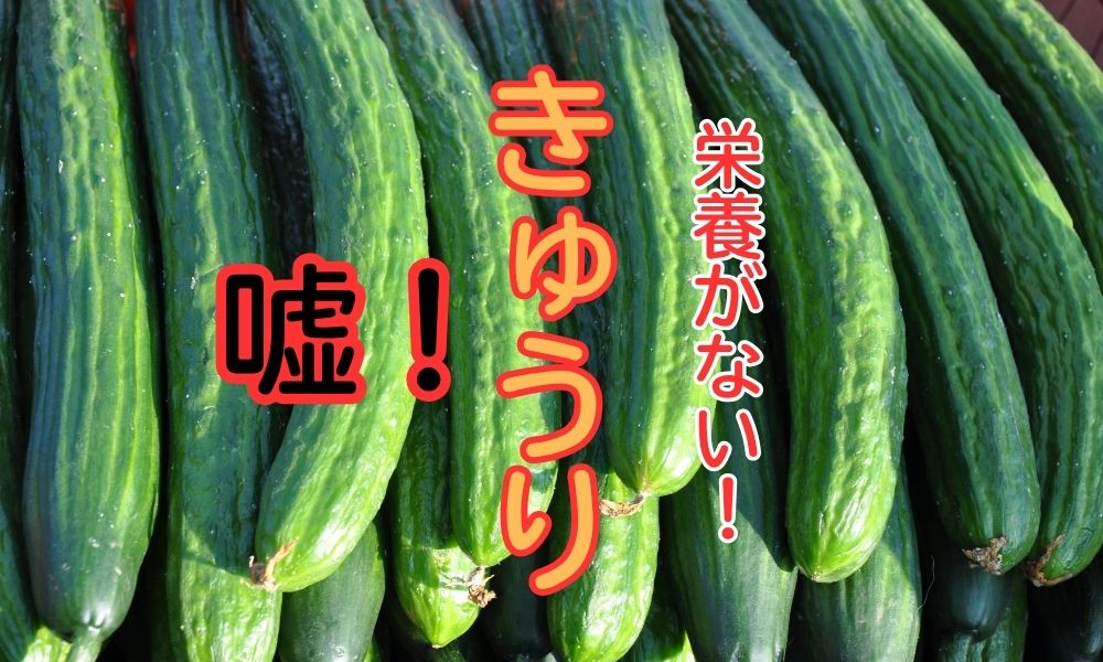 きゅうり