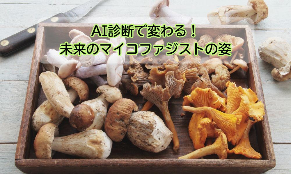 マイコファジストの日